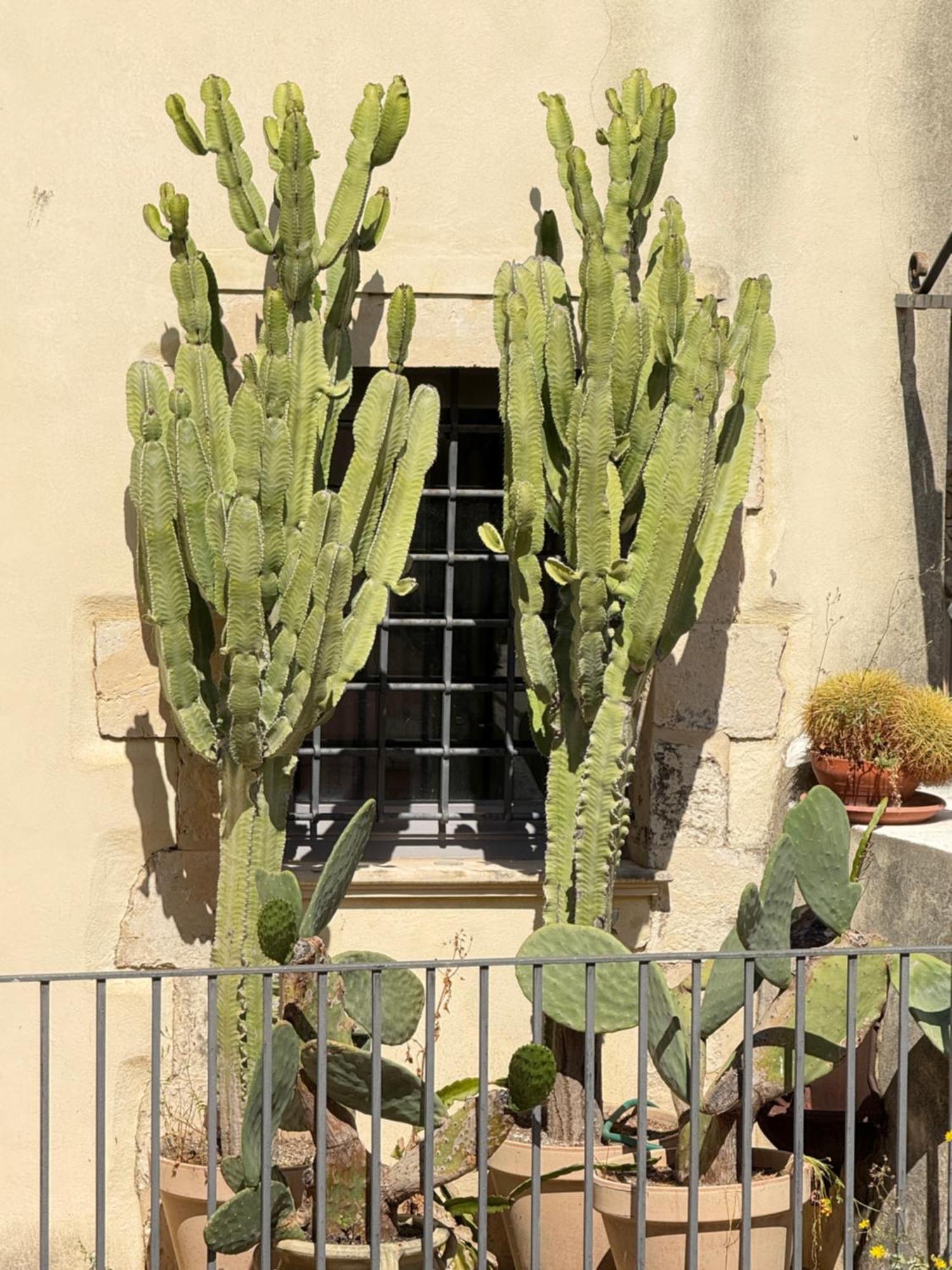 Panorama Suites Noto - Adults Only Exterior photo